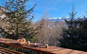 Chalet Glasul Padurii